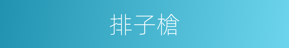 排子槍的意思