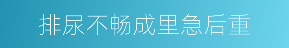 排尿不畅成里急后重的同义词