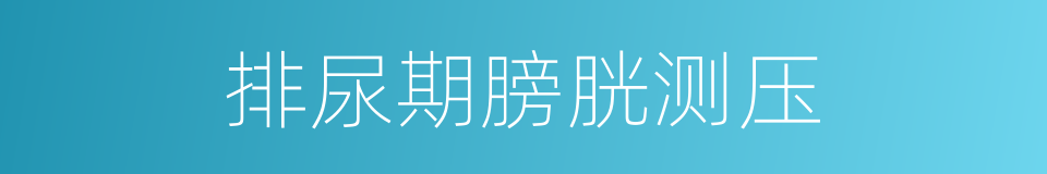 排尿期膀胱测压的同义词