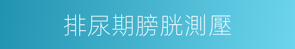 排尿期膀胱測壓的同義詞