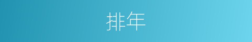 排年的意思