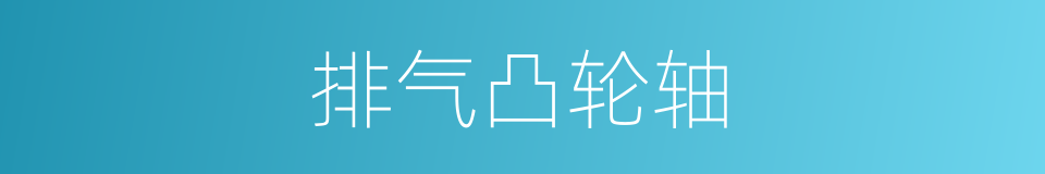 排气凸轮轴的同义词