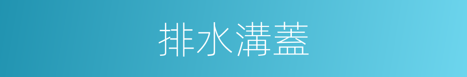 排水溝蓋的同義詞