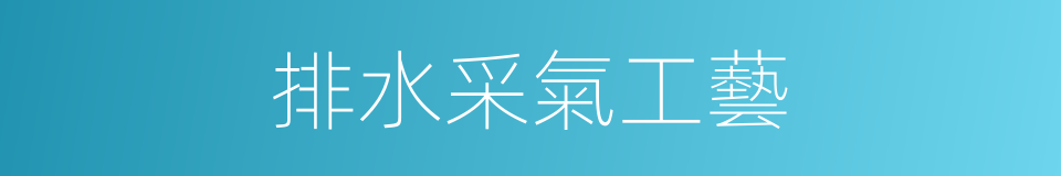 排水采氣工藝的同義詞