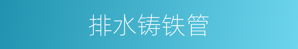 排水铸铁管的同义词