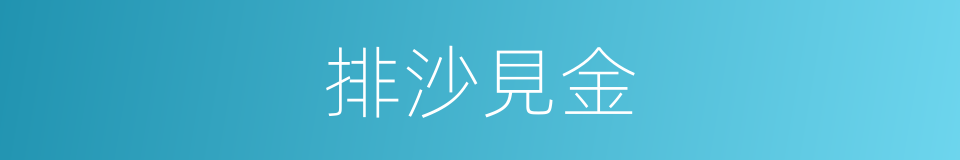 排沙見金的意思