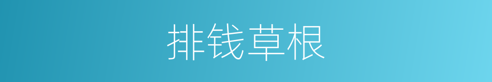 排钱草根的同义词
