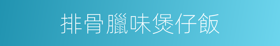 排骨臘味煲仔飯的同義詞