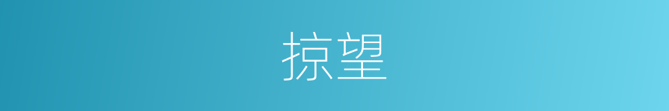 掠望的同义词