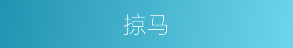 掠马的同义词