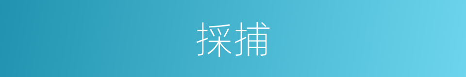 採捕的同义词