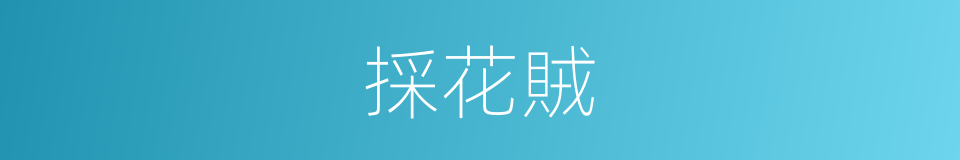採花賊的同義詞