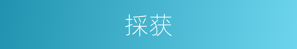 採获的同义词