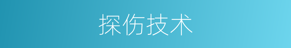 探伤技术的同义词