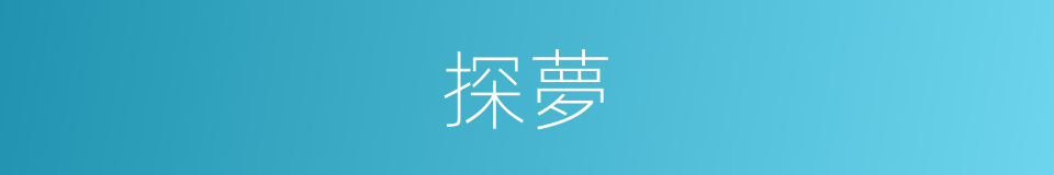 探夢的同義詞