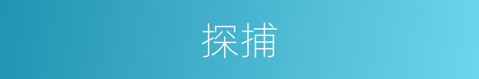 探捕的意思
