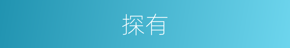 探有的同义词