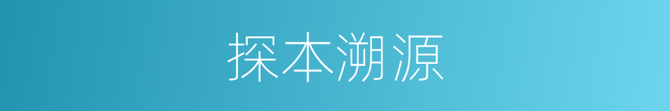 探本溯源的意思