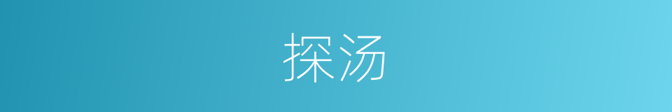 探汤的同义词