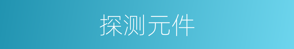 探测元件的同义词