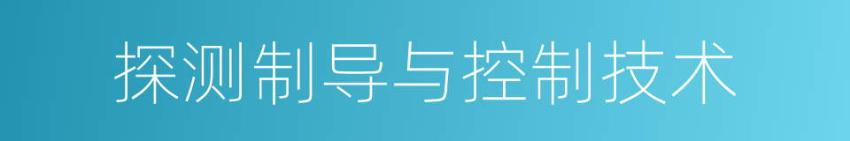 探测制导与控制技术的同义词