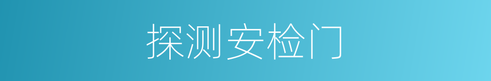 探测安检门的同义词