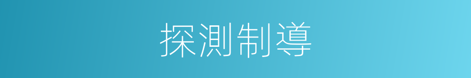 探測制導的同義詞