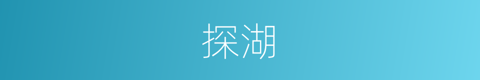 探湖的同义词