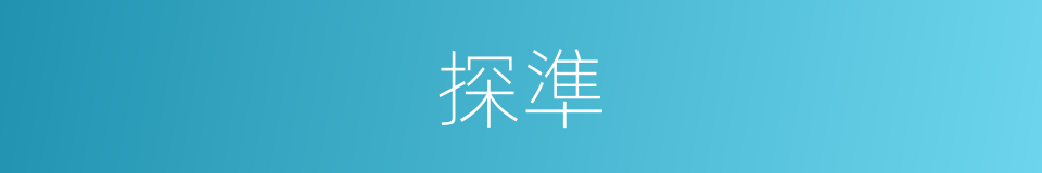 探準的同義詞