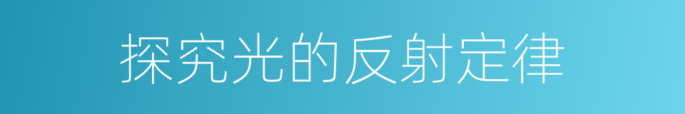 探究光的反射定律的同义词