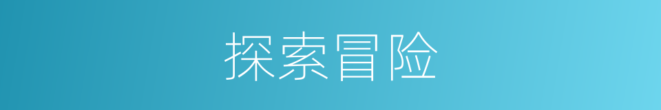 探索冒险的同义词