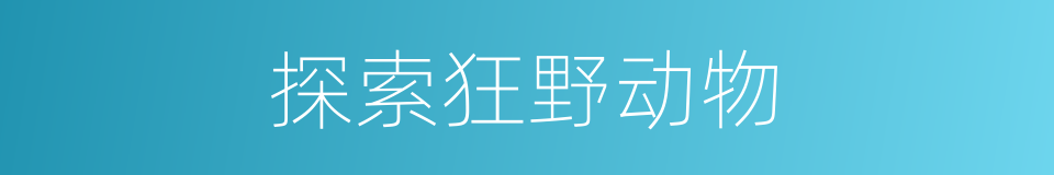 探索狂野动物的同义词