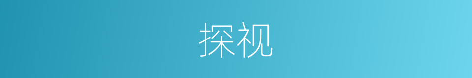 探视的意思