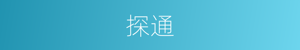 探通的同义词