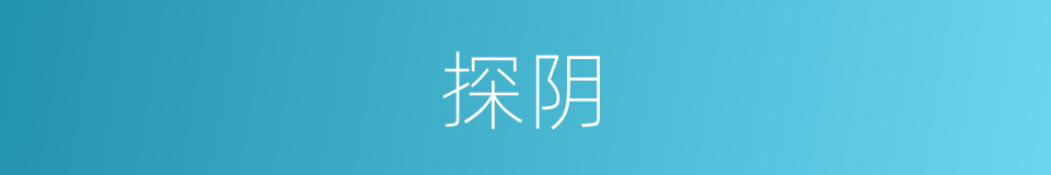 探阴的同义词