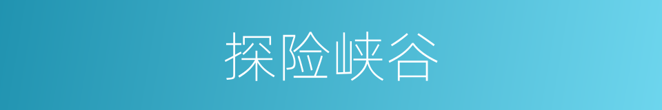 探险峡谷的同义词