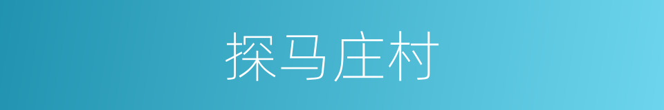 探马庄村的同义词