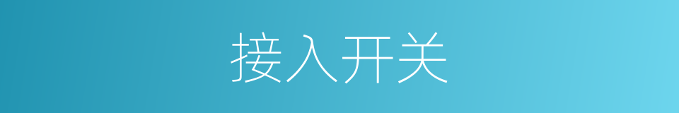接入开关的同义词