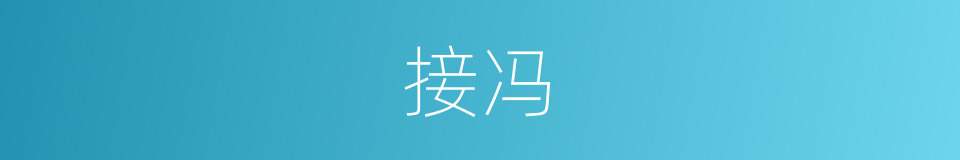 接冯的同义词