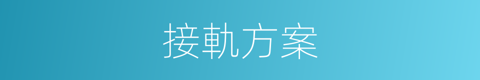 接軌方案的同義詞