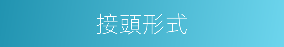接頭形式的同義詞