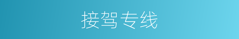 接驾专线的同义词