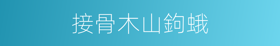 接骨木山鉤蛾的同義詞