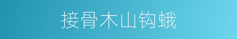 接骨木山钩蛾的同义词