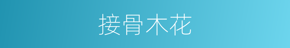 接骨木花的同义词