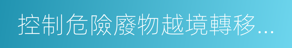 控制危險廢物越境轉移及其處置巴塞爾公約的同義詞