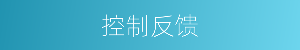 控制反馈的同义词