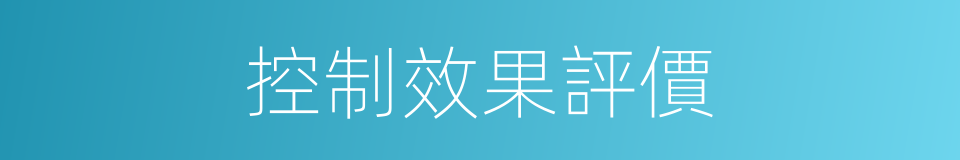 控制效果評價的同義詞