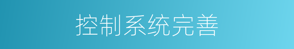 控制系统完善的同义词