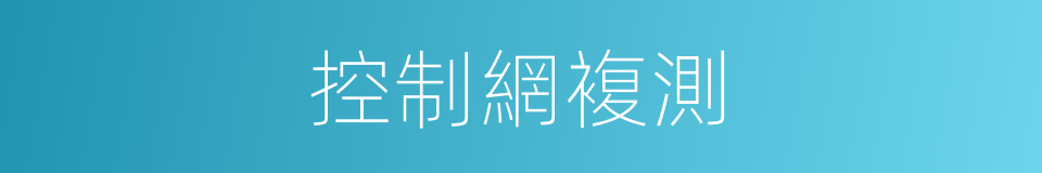 控制網複測的同義詞